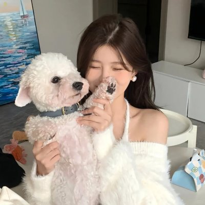 八重子的低音 海报